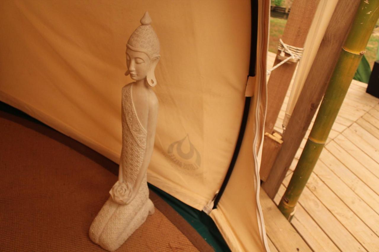 Hotel Kerikeri Glamping Esterno foto
