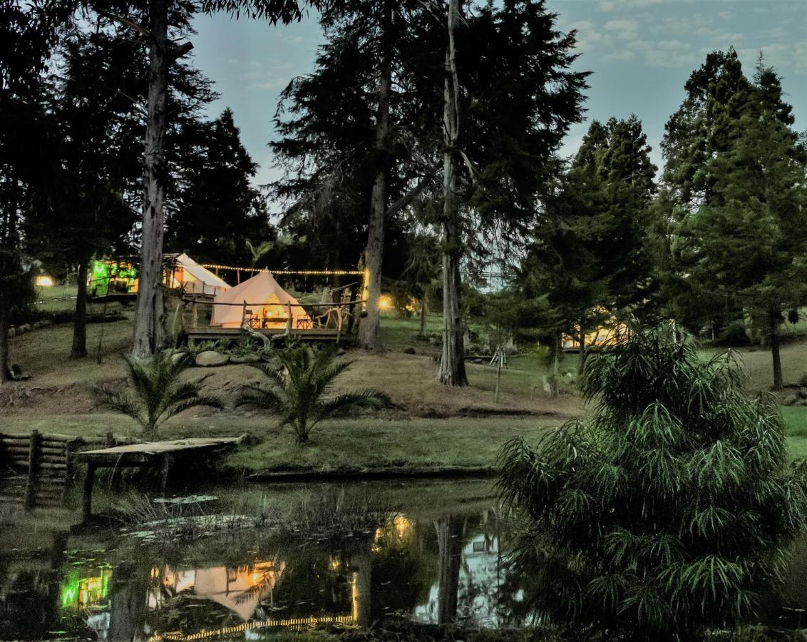 Hotel Kerikeri Glamping Esterno foto