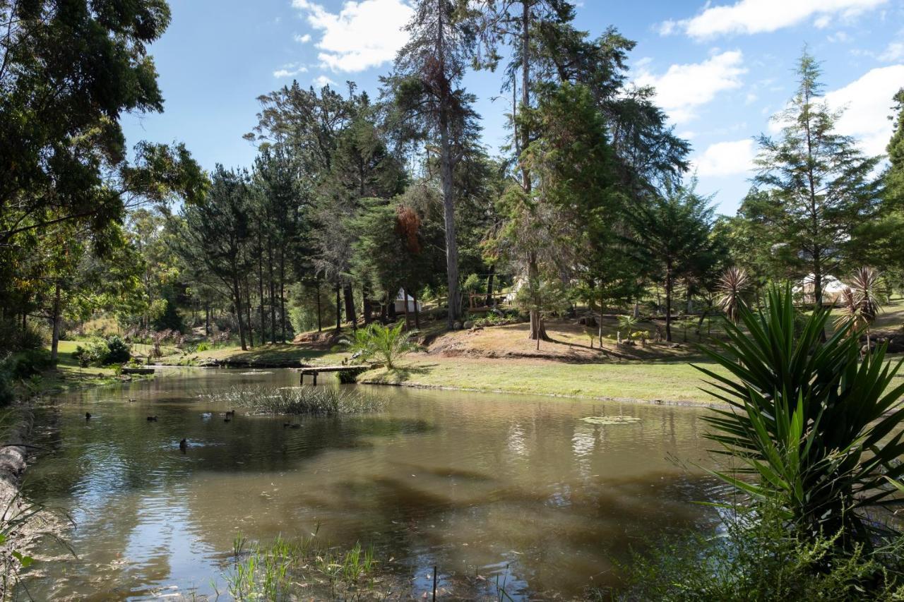 Hotel Kerikeri Glamping Esterno foto