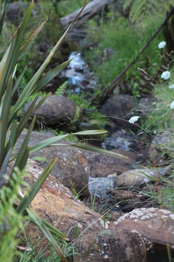 Hotel Kerikeri Glamping Esterno foto