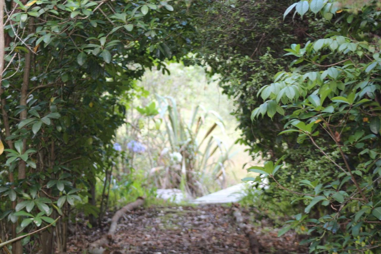 Hotel Kerikeri Glamping Esterno foto