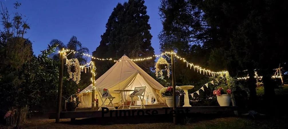 Hotel Kerikeri Glamping Esterno foto